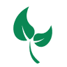 plant-image